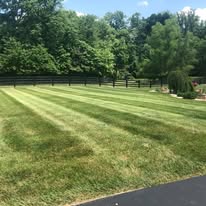Maintained lawn with stripes