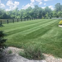 Maintained Southern Indiana lawn